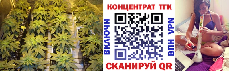 это Telegram  где найти наркотики  Северобайкальск  ТГК гашишное масло 