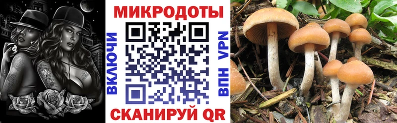 цены   Северобайкальск  Псилоцибиновые грибы мухоморы 