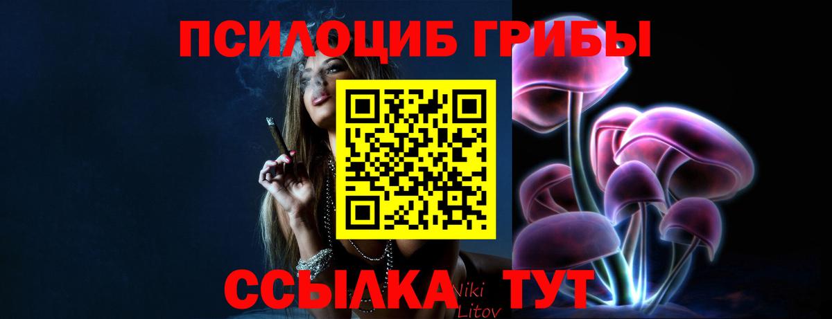 Галлюциногенные грибы прущие грибы  Псилоцибиновые грибы прущие грибы  Вход с VPN  Северобайкальск 