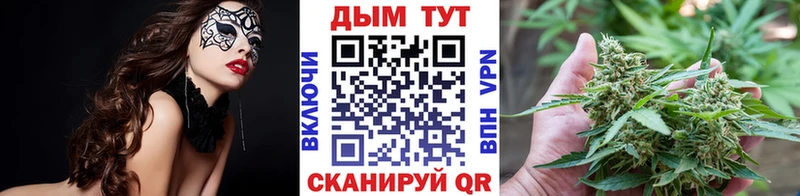 darknet формула  что такое наркотик  Северобайкальск  Каннабис план 